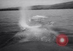 Image of Submarine school Pearl Harbor Hawaii USA, 1958, second 60 stock footage video 65675040883