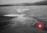 Image of Submarine school Pearl Harbor Hawaii USA, 1958, second 61 stock footage video 65675040883