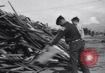 Image of Alaska approved for statehood Anchorage Alaska USA, 1958, second 51 stock footage video 65675040888