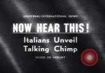 Immagine di Gli scimpanzé Roma Italia, 1962, secondo 3 filmato di repertorio 65675040906