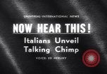 Immagine di Gli scimpanzé Roma Italia, 1962, secondo 5 filmato di repertorio 65675040906