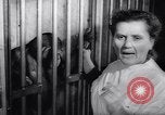 Immagine di Gli scimpanzé Roma Italia, 1962, secondo 34 filmato di repertorio 65675040906