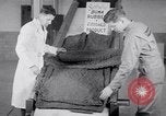 Immagine di Gomma Buna United States USA, 1942, secondo 42 filmato di repertorio 65675040909