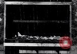 Immagine di Bombe fuoco College Park Maryland USA, 1942, secondo 23 filmato di repertorio 65675040911