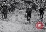 Immagine di Tacchini Wawawai Washington United States USA, 1942, secondo 9 filmato di repertorio 65675040914