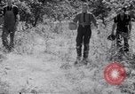 Immagine di Tacchini Wawawai Washington United States USA, 1942, secondo 10 filmato di repertorio 65675040914