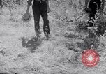 Immagine di Tacchini Wawawai Washington United States USA, 1942, secondo 13 filmato di repertorio 65675040914