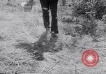 Immagine di Tacchini Wawawai Washington United States USA, 1942, secondo 15 filmato di repertorio 65675040914