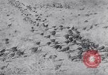 Immagine di Tacchini Wawawai Washington United States USA, 1942, secondo 30 filmato di repertorio 65675040914