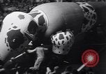 Standbild Orange Bowl Parade Miami Florida USA, 1947, aus Sekunde 61 historischem Filmmaterial Videoclip 65675040922