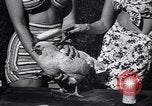 Immagine di Pollo corteo di bellezza Petaluma California USA, 1947, secondo 23 filmato di repertorio 65675040927