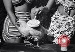 Immagine di Pollo corteo di bellezza Petaluma California USA, 1947, secondo 24 filmato di repertorio 65675040927