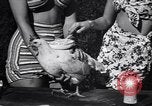 Immagine di Pollo corteo di bellezza Petaluma California USA, 1947, secondo 26 filmato di repertorio 65675040927