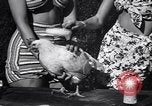 Immagine di Pollo corteo di bellezza Petaluma California USA, 1947, secondo 27 filmato di repertorio 65675040927