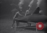Standbild riesiges Aquarium Marineland Florida USA, 1947, aus Sekunde 6 historischem Filmmaterial Videoclip 65675040928