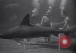 Standbild riesiges Aquarium Marineland Florida USA, 1947, aus Sekunde 7 historischem Filmmaterial Videoclip 65675040928