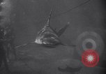 Standbild riesiges Aquarium Marineland Florida USA, 1947, aus Sekunde 18 historischem Filmmaterial Videoclip 65675040928