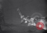 Standbild riesiges Aquarium Marineland Florida USA, 1947, aus Sekunde 20 historischem Filmmaterial Videoclip 65675040928