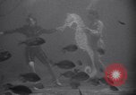 Standbild riesiges Aquarium Marineland Florida USA, 1947, aus Sekunde 27 historischem Filmmaterial Videoclip 65675040928