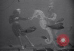 Standbild riesiges Aquarium Marineland Florida USA, 1947, aus Sekunde 28 historischem Filmmaterial Videoclip 65675040928