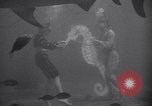 Standbild riesiges Aquarium Marineland Florida USA, 1947, aus Sekunde 31 historischem Filmmaterial Videoclip 65675040928