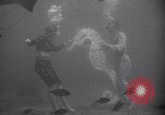Standbild riesiges Aquarium Marineland Florida USA, 1947, aus Sekunde 32 historischem Filmmaterial Videoclip 65675040928