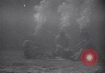 Standbild riesiges Aquarium Marineland Florida USA, 1947, aus Sekunde 33 historischem Filmmaterial Videoclip 65675040928