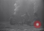 Standbild riesiges Aquarium Marineland Florida USA, 1947, aus Sekunde 34 historischem Filmmaterial Videoclip 65675040928