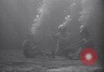 Standbild riesiges Aquarium Marineland Florida USA, 1947, aus Sekunde 35 historischem Filmmaterial Videoclip 65675040928