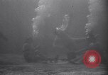 Standbild riesiges Aquarium Marineland Florida USA, 1947, aus Sekunde 41 historischem Filmmaterial Videoclip 65675040928