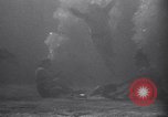 Standbild riesiges Aquarium Marineland Florida USA, 1947, aus Sekunde 42 historischem Filmmaterial Videoclip 65675040928