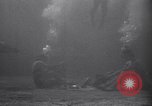 Standbild riesiges Aquarium Marineland Florida USA, 1947, aus Sekunde 43 historischem Filmmaterial Videoclip 65675040928