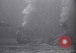 Standbild riesiges Aquarium Marineland Florida USA, 1947, aus Sekunde 44 historischem Filmmaterial Videoclip 65675040928