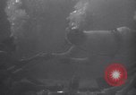 Standbild riesiges Aquarium Marineland Florida USA, 1947, aus Sekunde 45 historischem Filmmaterial Videoclip 65675040928