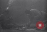 Standbild riesiges Aquarium Marineland Florida USA, 1947, aus Sekunde 46 historischem Filmmaterial Videoclip 65675040928
