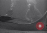 Standbild riesiges Aquarium Marineland Florida USA, 1947, aus Sekunde 58 historischem Filmmaterial Videoclip 65675040928