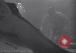 Standbild riesiges Aquarium Marineland Florida USA, 1947, aus Sekunde 59 historischem Filmmaterial Videoclip 65675040928