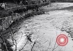 Image Kayak skippers Allemagne, 1956, de la seconde 7 séquences d'archives historiques vidéo 65675040938
