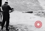 Image Kayak skippers Allemagne, 1956, de la seconde 21 séquences d'archives historiques vidéo 65675040938