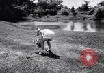 Image of Linda Lewis Long Island New York USA, 1956, second 51 stock footage video 65675040944