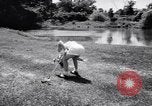 Image of Linda Lewis Long Island New York USA, 1956, second 52 stock footage video 65675040944