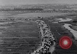 Image of Soviet aircraft show 1956 Moscow Russia Soviet Union, 1956, second 21 stock footage video 65675040945
