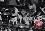 Immagine di Parata di flottazione Miami Florida USA, 1956, secondo 25 filmato di repertorio 65675040949