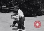 Standbild Schimpansen Encino California USA, 1956, aus Sekunde 23 historischem Filmmaterial Videoclip 65675040951