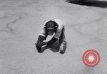Standbild Schimpansen Encino California USA, 1956, aus Sekunde 50 historischem Filmmaterial Videoclip 65675040951