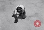 Standbild Schimpansen Encino California USA, 1956, aus Sekunde 51 historischem Filmmaterial Videoclip 65675040951