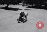 Standbild Schimpansen Encino California USA, 1956, aus Sekunde 56 historischem Filmmaterial Videoclip 65675040951