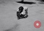 Standbild Schimpansen Encino California USA, 1956, aus Sekunde 57 historischem Filmmaterial Videoclip 65675040951