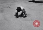Standbild Schimpansen Encino California USA, 1956, aus Sekunde 58 historischem Filmmaterial Videoclip 65675040951