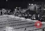 Standbild Schwimmen Meisterschaft Tyler Texas USA, 1956, aus Sekunde 7 historischem Filmmaterial Videoclip 65675040957